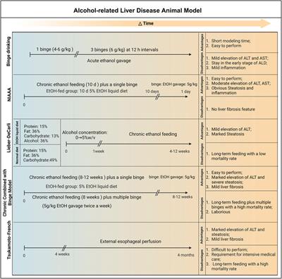 Alcohol-related liver disease (ALD): current perspectives on pathogenesis, therapeutic strategies, and animal models